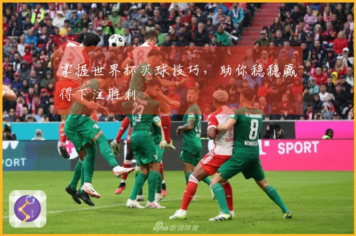 掌握世界杯买球技巧，助你稳稳赢得下注胜利