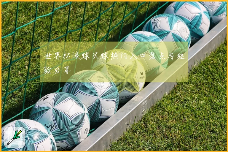 世界杯滚球买球热门入口盘点与经验分享