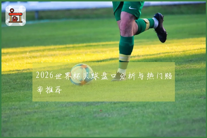 2026世界杯买球盘口分析与热门赔率推荐