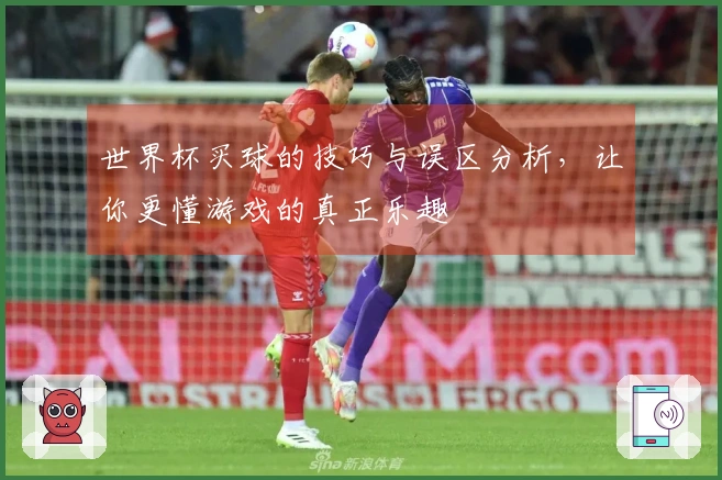 世界杯买球的技巧与误区分析，让你更懂游戏的真正乐趣